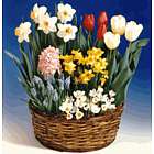 Mother's Day Flower Assortment