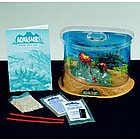 Aquasaurs Prehistoric Creature Habitat
