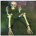 Jumbo Groundbreaking Skeleton
