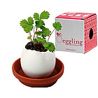 Strawberry Eggling