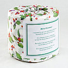 'Merry Christmas!' Toilet Paper Card
