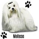 Maltese T-Shirt