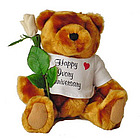14th Anniversary Teddy Bear