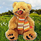 Butterfly Kisses Bear