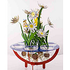 Flowers & Flying Bee Passover Seder Plate