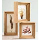 Ocean Flowers Botanical Art Set