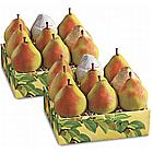 Two Boxes of The Summertime Favorite Pears