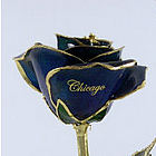 Your City on a Rose