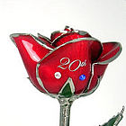 The 20th Anniversary Rose