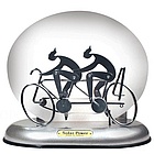 Solar Motion Twin Bicycle Racers