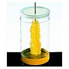 Rock Candy Crystal Growing Kit