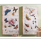 Butterfly or Insect Collage Canvas Print