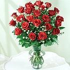 Double Dozen Red Roses