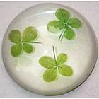 Four-Leaf Clover Paperweight with 3 Clovers