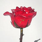 11" Copper 7th Anniversary Rose