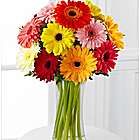 Gerbera Daisy Bouquet