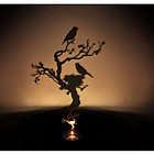 Lumen Nest Shadow Projector