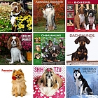 Dog Breed 2009 Wall Calendar