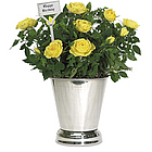 Happy Birthday Rosebush with Cachepot