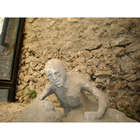 Pompeii Secrets Revealed DVD
