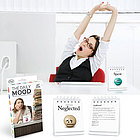 The Daily Mood Desktop Accessory