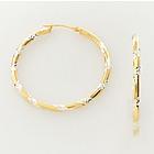 10k Gold Two-Tone Hoop Earrings