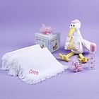 Personalized Baby Girl Stork Gift Set
