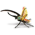 3D Hercules Beetle Anatomy Puzzle