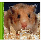 Hamsters Pet Care Book
