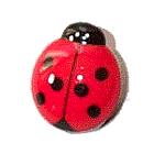 Ladybug Magnetic Clip Memo Holder