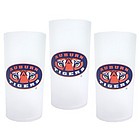 Auburn Tigers Tumbler Set