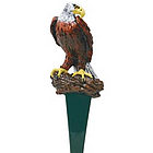 Eagle Tap Handle