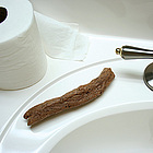 Poop Soap