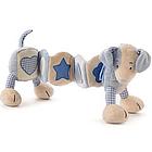 Zig Zag Puppy