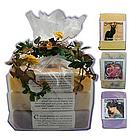 Fruit Assortment Soap Gift Pack