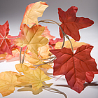Autumn Leaf Garland