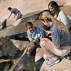 Seal Trainer Experience in Select Cities