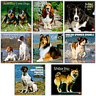 Medium Breed Dogs 2010 Wall Calendar