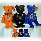 Jeff Gordon #24 Nascar Bear Beanie Baby