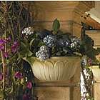 Freda Wall Mount Planter