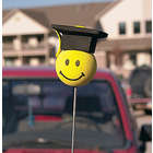 Graduation Antenna Balls