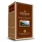 Jamaica Blue Mountain Coffee - Regular