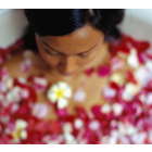 Indulgent Spa Packages in New York or California