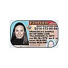 Florida Driver's Education Course