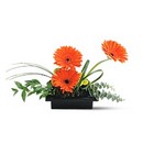 Zen Gerbera Bowl