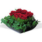 Simply Roses
