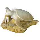 Hawksbill Turtle Figurine in Caribbean Coral