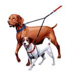 Double-Dog Leash�