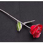 11" Red Rose with Platinum Trim