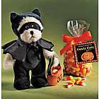 Bat Bear With Treats